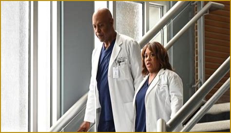 The Incredible Dr. Miranda Bailey: A Journey In Grey's Anatomy